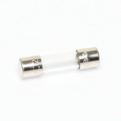 Picture of Amana Commerical 20031701 Fuse 2.5 Amp