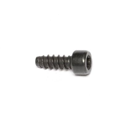 Picture of Amana Commerical 20095801 Screw-tc/socket Torx