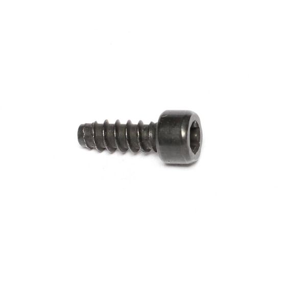 Picture of Amana Commerical 20095801 Screw-tc/socket Torx
