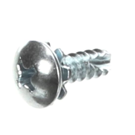 Picture of Amana Commerical 20275402 Screw-metric/truss