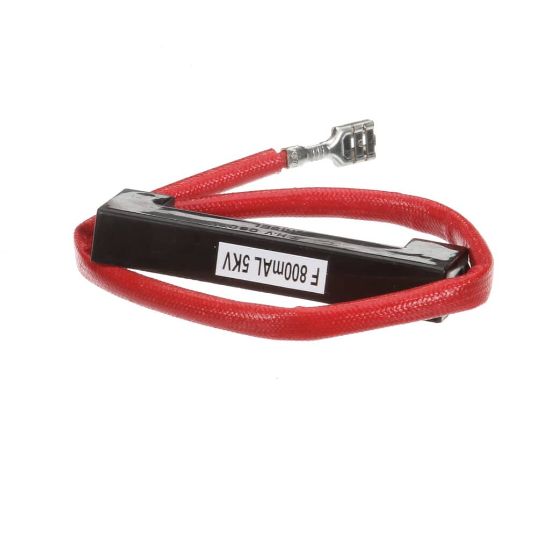 Picture of Amana Commerical 54116050 Fuse-hv
