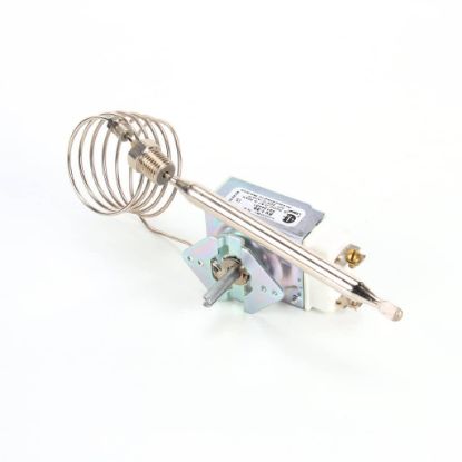 Picture of Anets 60125401 Thermostat,rx Mvolt 200-400F