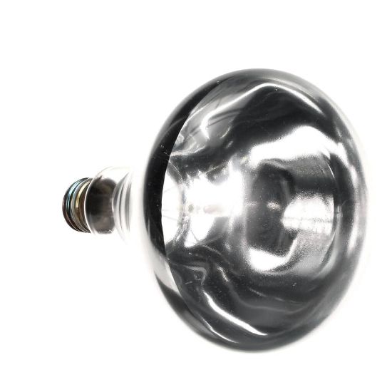 Picture of Anets P9130-04 Lampirheat 250W/120v Wht/frs