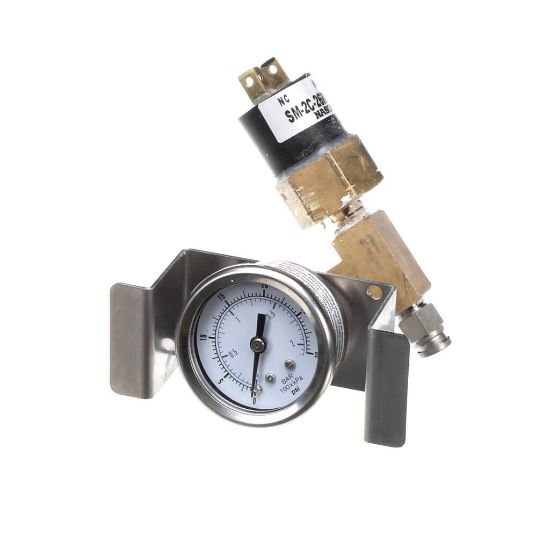 Picture of Antunes 7002257 Pressure Switch & Gauge