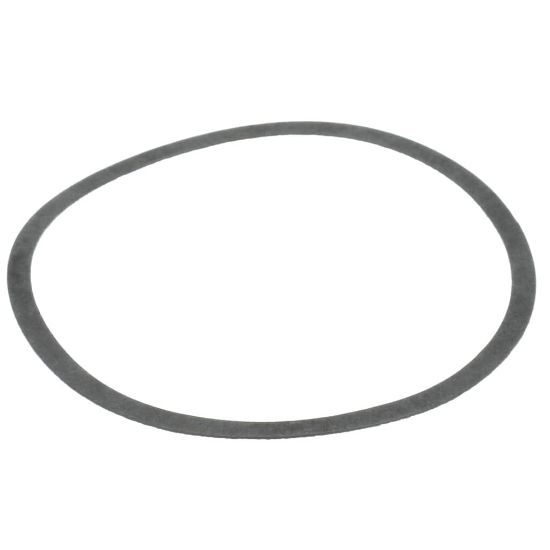 Picture of Armstrong 806050-000 Gasket Body 4-Ser