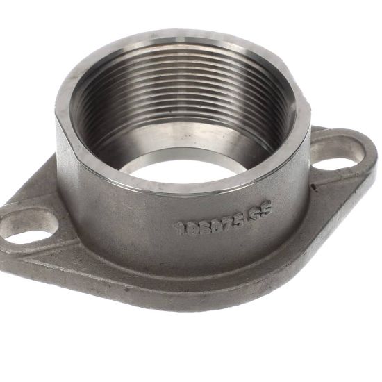 Picture of Armstrong 806075-621 Flange Sst 2Npt Companion