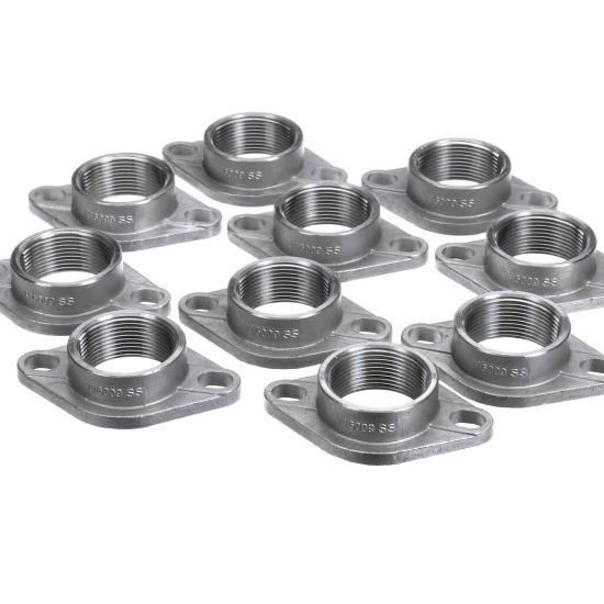 Picture of Armstrong 816009-621 Flange Sst 2 Npt (10Pk)