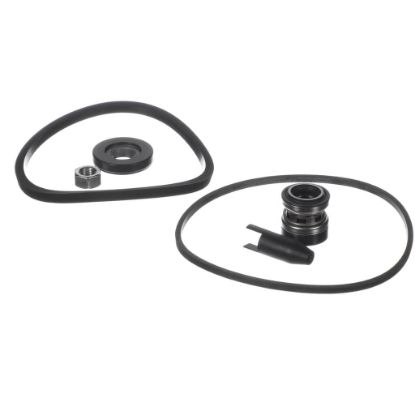 Picture of Armstrong 880202-677K E2 Seal Kit