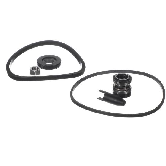Picture of Armstrong 880202-677K E2 Seal Kit