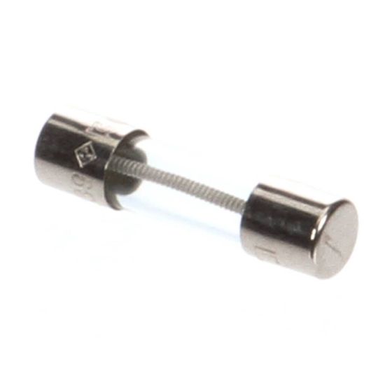 Picture of Alto Shaam FU-33184 Fuses,ct,5x20mm,slow-blo