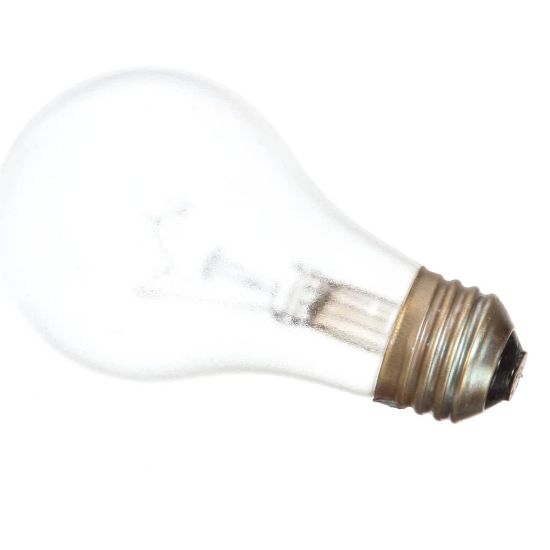 Picture of Alto Shaam LP-33598 Lamp,60w,130v,a19 Style,coated