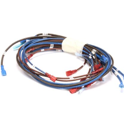 Picture of APW Wyott 2E-21851492 Harness