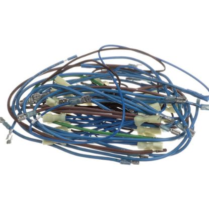 Picture of APW Wyott 2E-21831976 Wire Harness; Hrs-75;5t