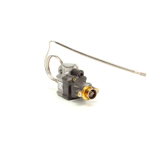 Picture of APW Wyott AS-2000100 Thermostat
