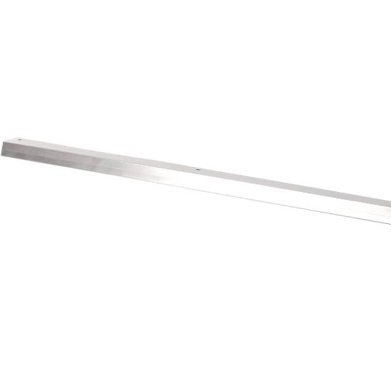 Picture of Bakers Pride AS-21818176 Seal Left & Right Door