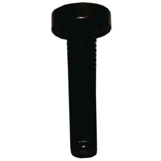 Picture of Bosch 10004531 Screw