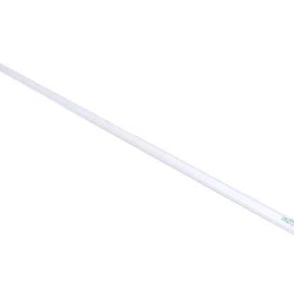Picture of Beverage Air 503-230B-02 Lamp - Phillips 32W F32t8