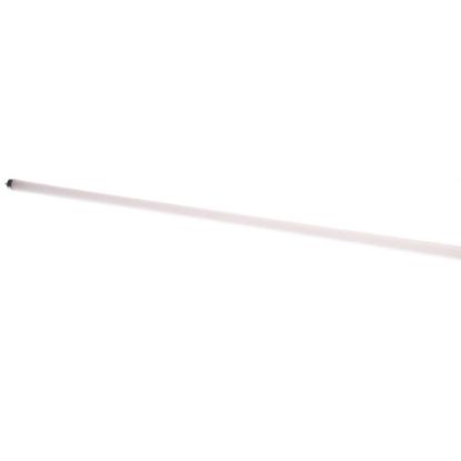 Picture of Beverage Air 503-229B-02 Lamp - Phillips 25W F25t8