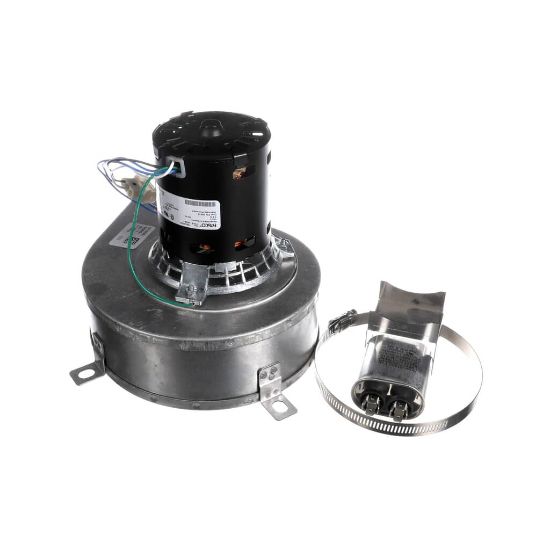 Picture of Blodgett 101559 Blower Assembly,hoodini W/cap 120V