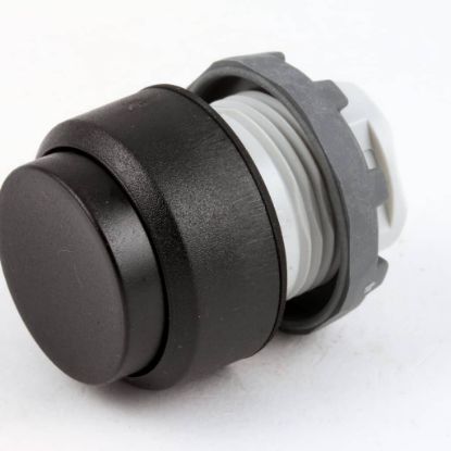 Picture of Blodgett 18295 Momentary Switch Pushbutton