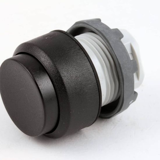 Picture of Blodgett 18295 Momentary Switch Pushbutton