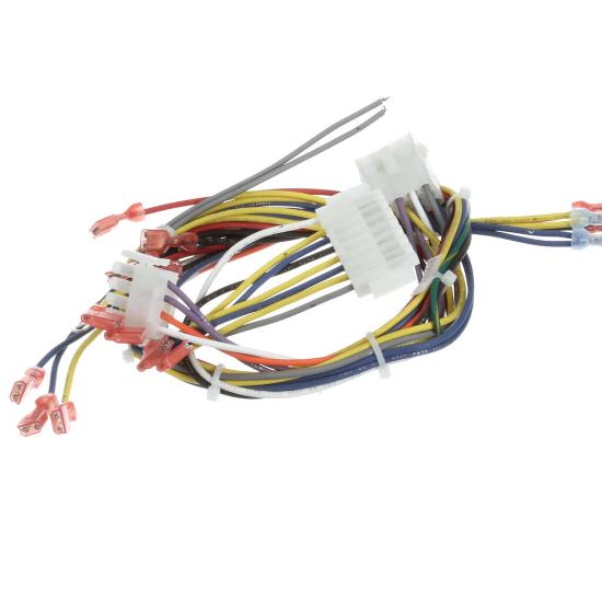 Picture of Blodgett 34435 Harness Iq Ctrl Ctbkfc