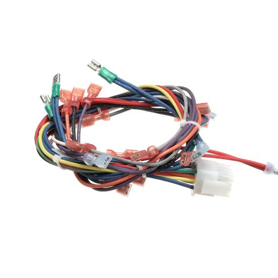 Picture of Blodgett 34411 Harness Wiring - Ctb/r Pro-3