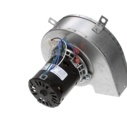 Picture of Blodgett 38515 Blower Assy 120V Bob