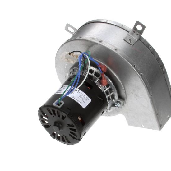 Picture of Blodgett 38515 Blower Assy 120V Bob