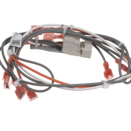 Picture of Blodgett 39234 Harness Sh1g/ab Contro L 24V