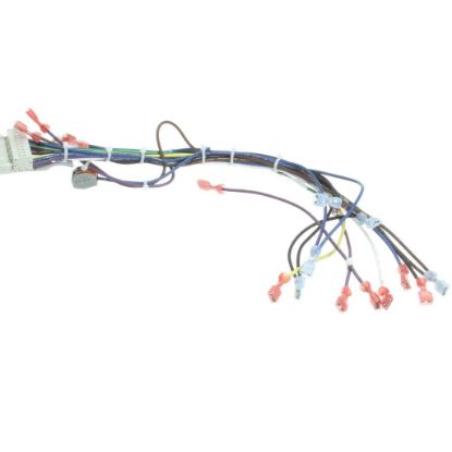 Picture of Blodgett 39235 Harness Cntl Sh1g/zephg 2Spd