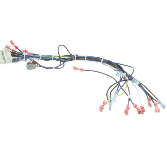 Picture of Blodgett 39235 Harness Cntl Sh1g/zephg 2Spd