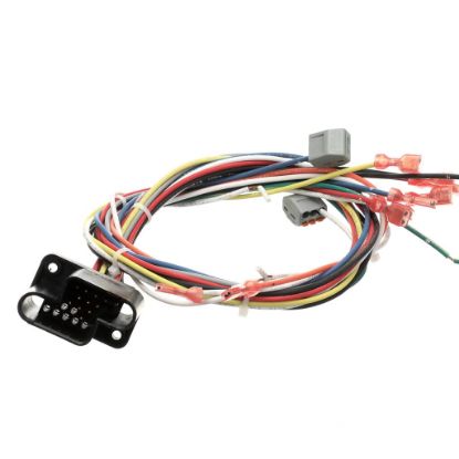 Picture of Blodgett 39835 Harness Wiring Rear