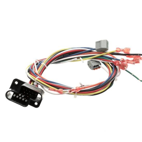 Picture of Blodgett 39835 Harness Wiring Rear