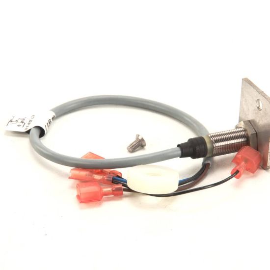 Picture of Blodgett 54280 Door Switch Kit
