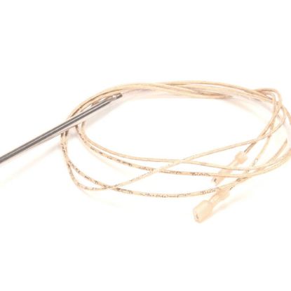 Picture of Blodgett 57562 Probe Temperature