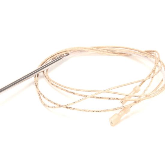 Picture of Blodgett 57562 Probe Temperature