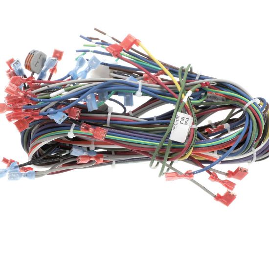 Picture of Blodgett 57480 Harness, Neeo, Rear
