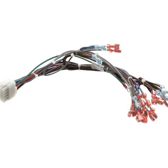 Picture of Blodgett 57481 Harness,frt Neeo Man