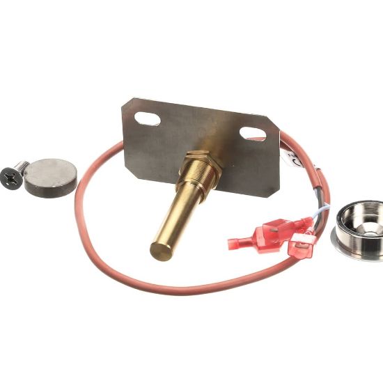 Picture of Blodgett 58709 Kit Door Switch Upgd W/ Secur