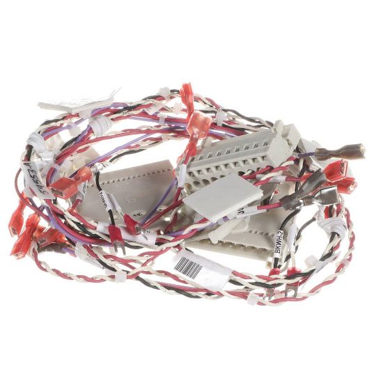 Picture of Blodgett 59553 Harness,manual Frt Combi