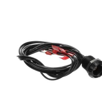 Picture of Blodgett 60899 Socket Core Probe