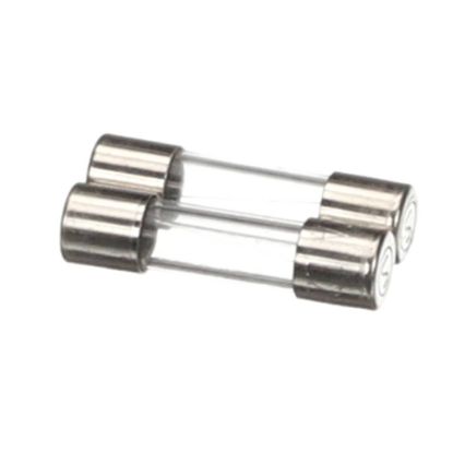 Picture of Blodgett 61613 Fuses F2 2A 2 Pcs