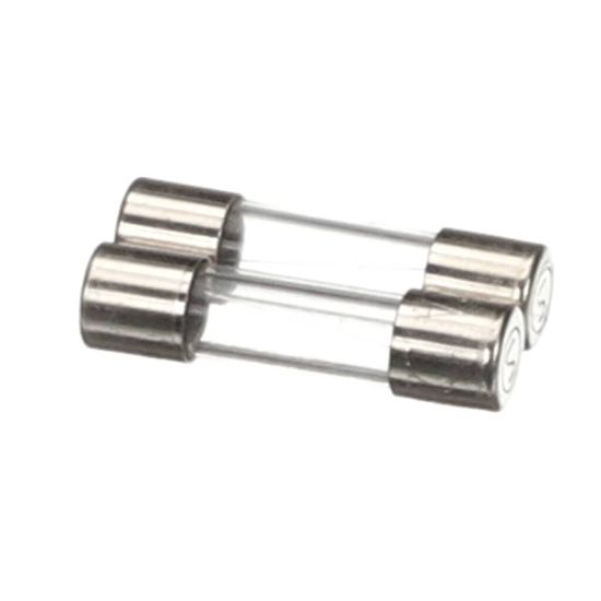 Picture of Blodgett 61613 Fuses F2 2A 2 Pcs