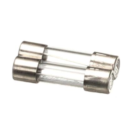 Picture of Blodgett 61615 Fuses F5/f6 8A 2 Pcs