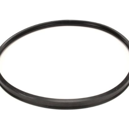 Picture of Blodgett 62479 Gasket Blc23/blc6e Door Blade
