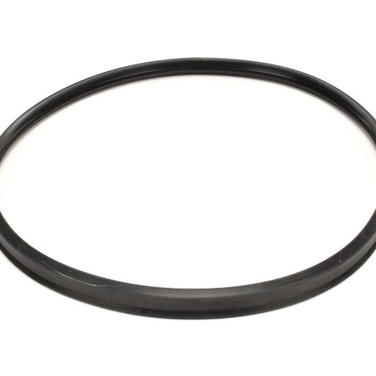 Picture of Blodgett 62479 Gasket Blc23/blc6e Door Blade