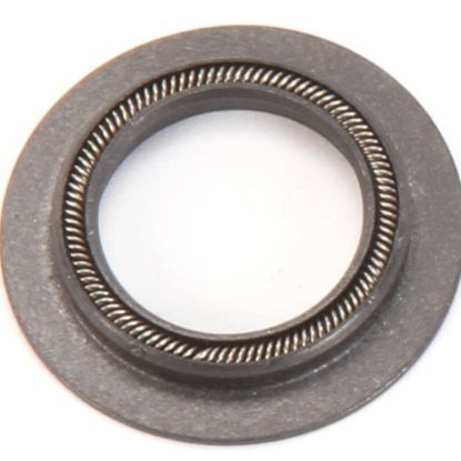 Picture of Blodgett R4244 Motor Shaft Seal