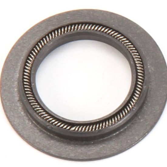 Picture of Blodgett R4244 Motor Shaft Seal