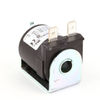 Picture of Blodgett R5075 Coil Solenoid 240V